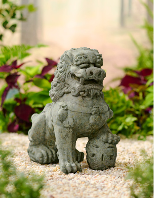 71002-Imperial-Asian-Lion-Male